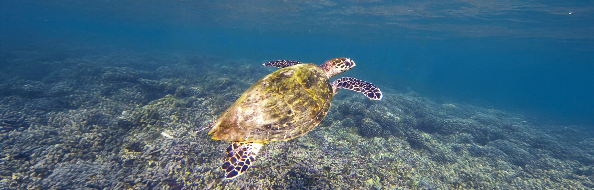 oman tourist destination