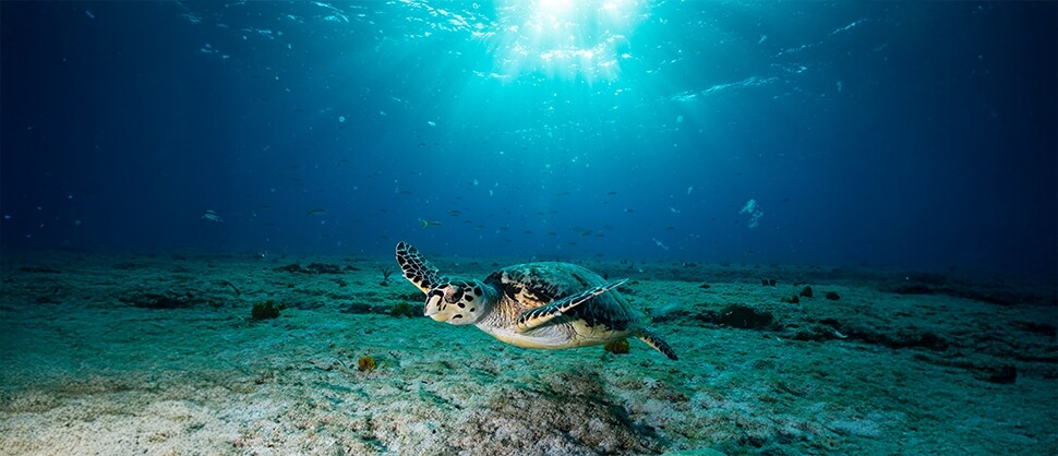 oman nature and adventure