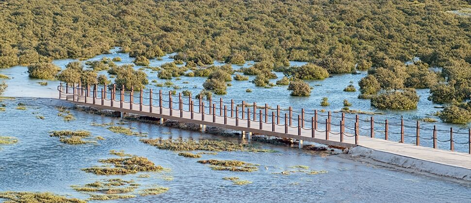 qatar nature and adventure