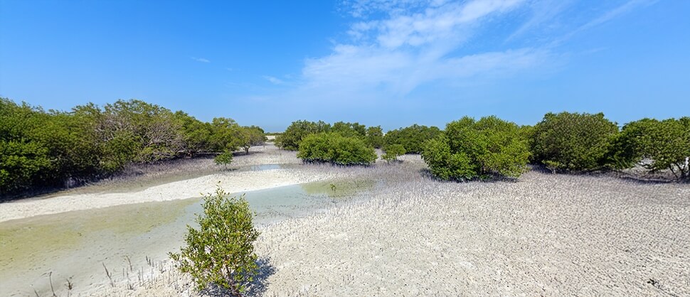 uae nature and adventure